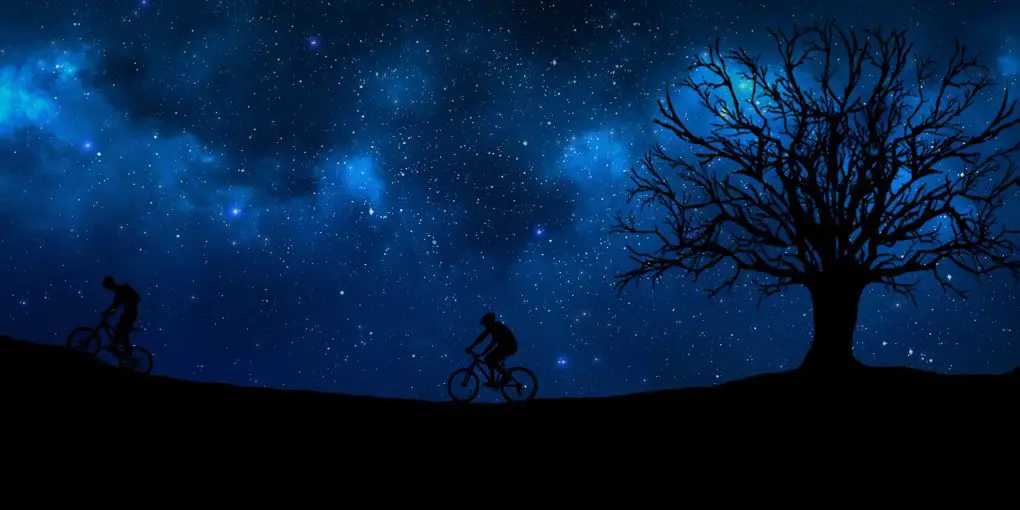 Mountain Biking Night Ride | Mountain Bicycle Lab