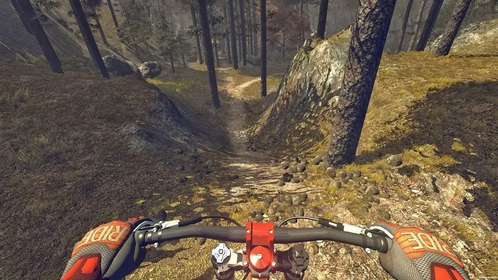 mountain bike game