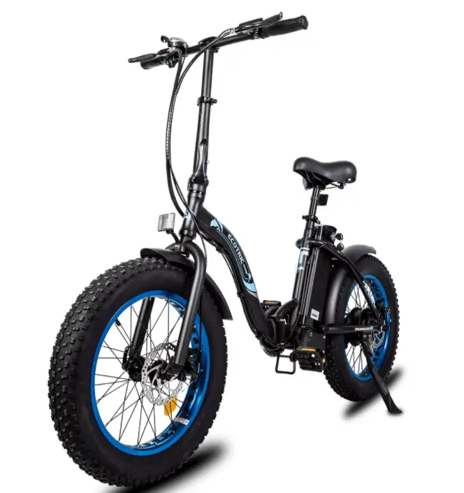 Ecotric Dolphin review