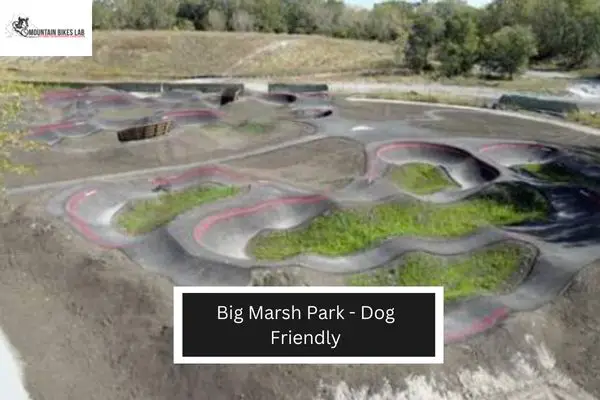 Big Marsh Park - Dog Friendly