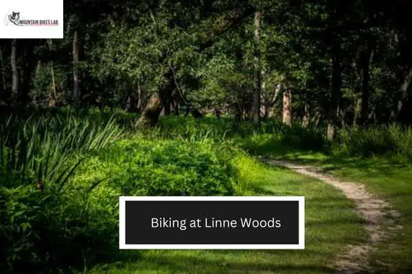 Biking at Linne Woods