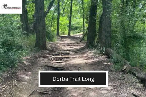 Dorba Trail Long