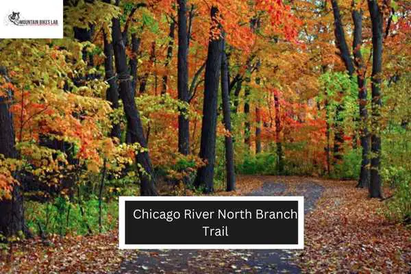 Chicago River North Branch Trail