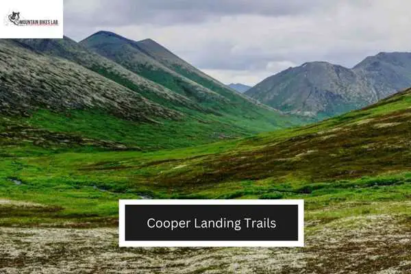 Cooper Landing Trails