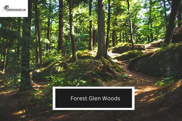 Forest Glen Woods