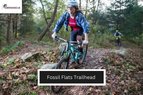 Fossil Flats Trailhead