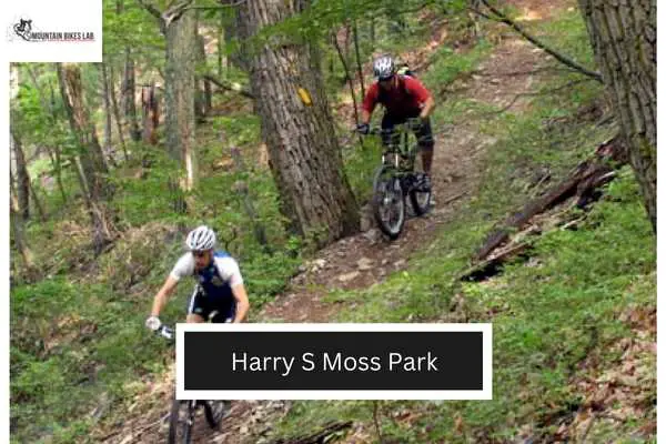 Harry S Moss Park