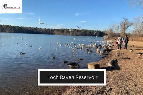 Loch Raven Reservoir