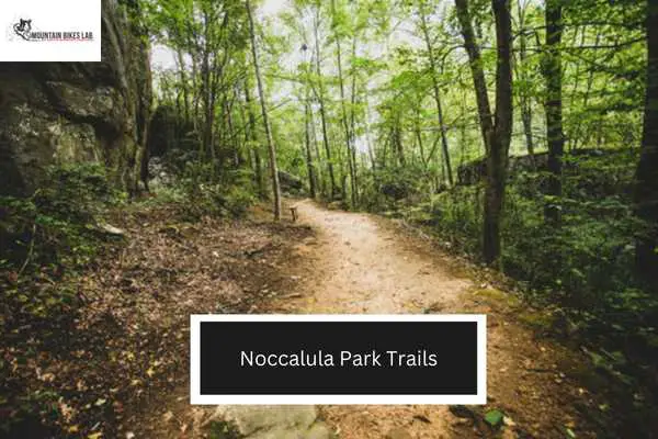 Noccalula Park Trails