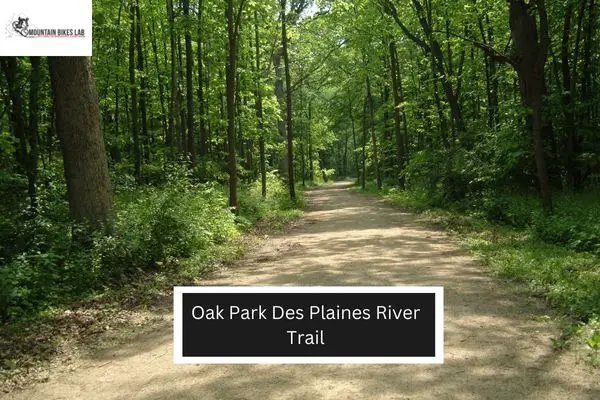 Oak Park Des Plaines River Trail