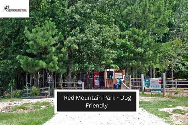 Red Mountain Park - Dog Friendly