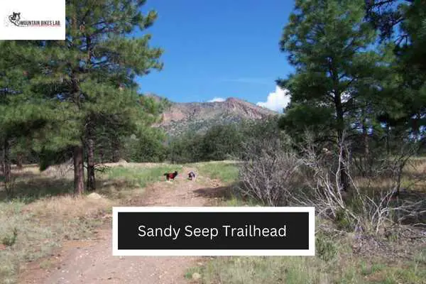Sandy Seep Trailhead