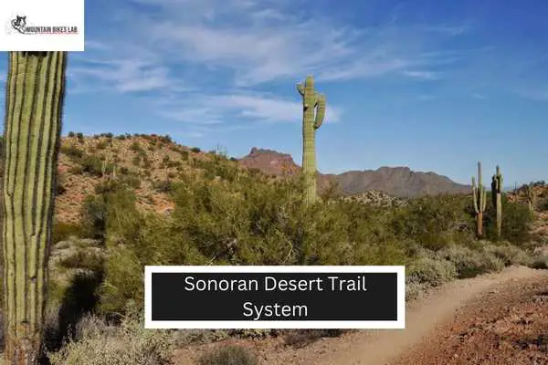 Sonoran Desert Trail System