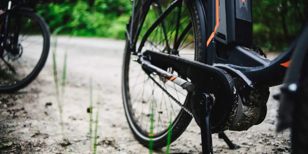Best Mountain Bike Trails in Louisiana